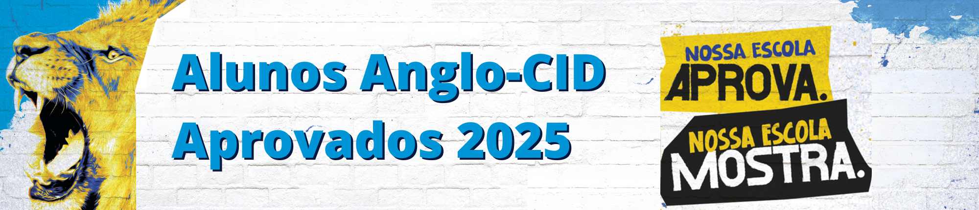 Anglo-CID: Aprovados 2025