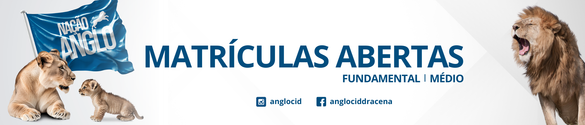 Anglo